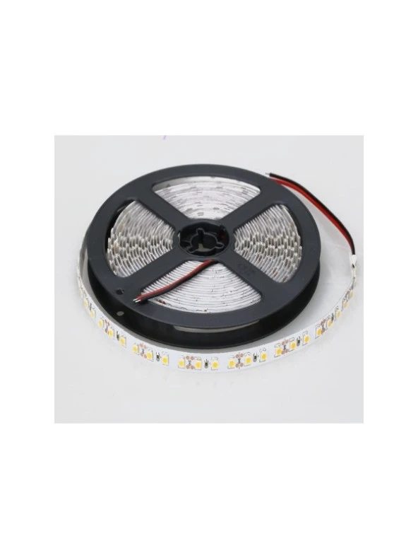 Cata Şerit LED 10 Çipli Gün Işığı Işık 5mt CT-4481 - 2