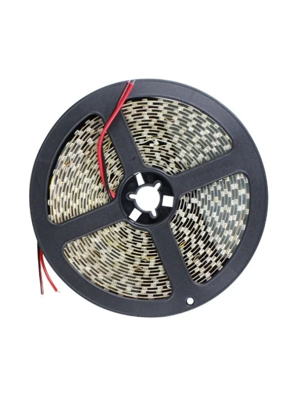 Cata Şerit LED 10 Çipli Gün Işığı Işık 5mt CT-4481 - 3