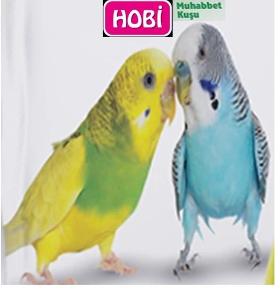 Hobi Ekonomik Muhabbet Yemi 1 Kg - 3