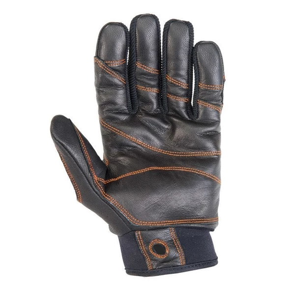 CT PROGRIP ELDIVEN - 8
