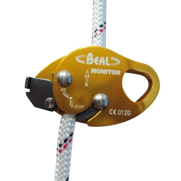 BEAL MONITOR - 2