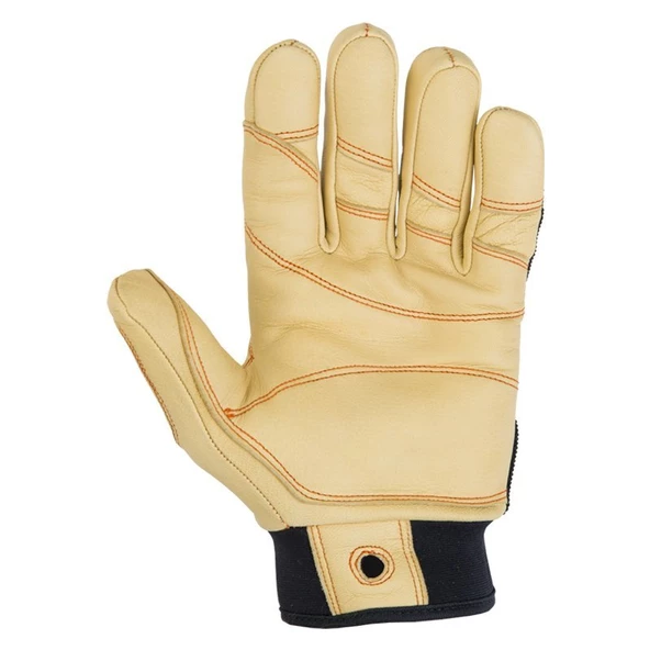 CT PROGRIP PLUS ELDIVEN - 2