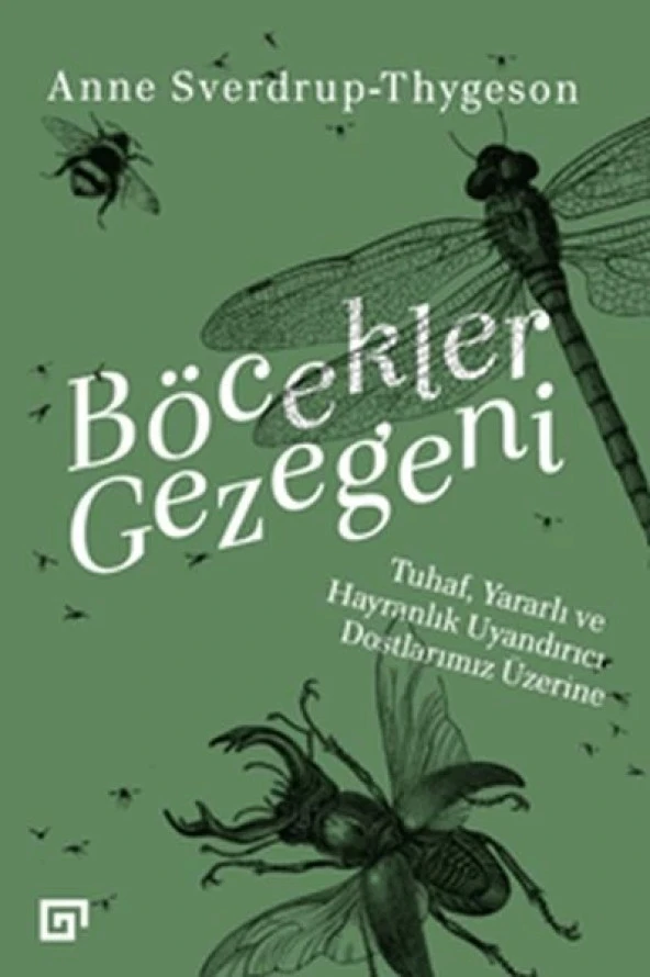 Böcekler Gezegeni - Tuhaf Yararlı ve Hayranlık Uyandırıcı Dostlarımız Üzerine