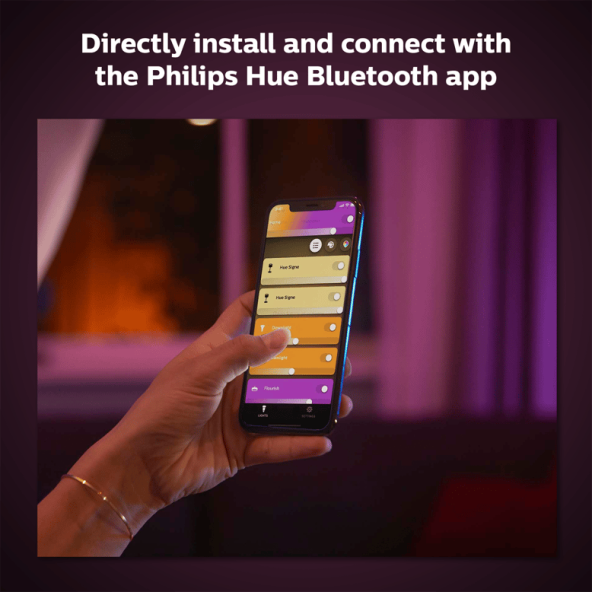 Philips Hue Iris Copper Special Edition - 6
