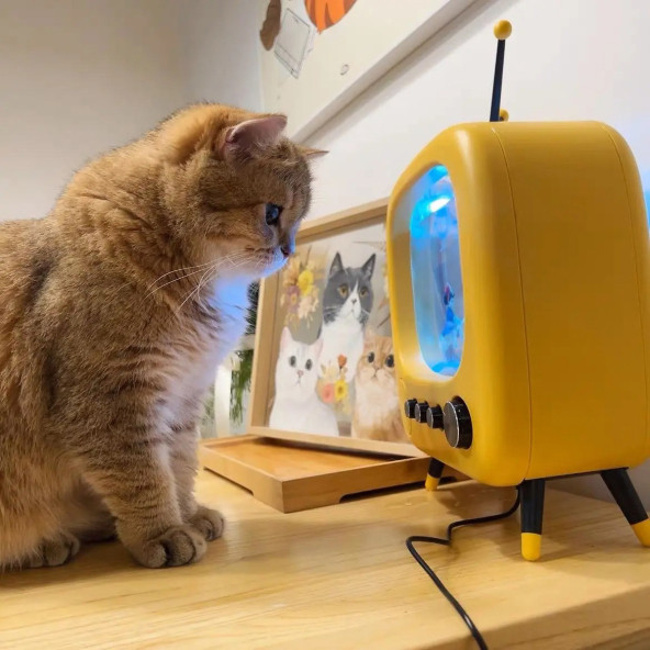 TechTic Tv Şekilli Işıklı Mini Akvaryum Beta Balık Tankı Led Aydınlatma Termostatik Isıtma Vintage - Resim 8