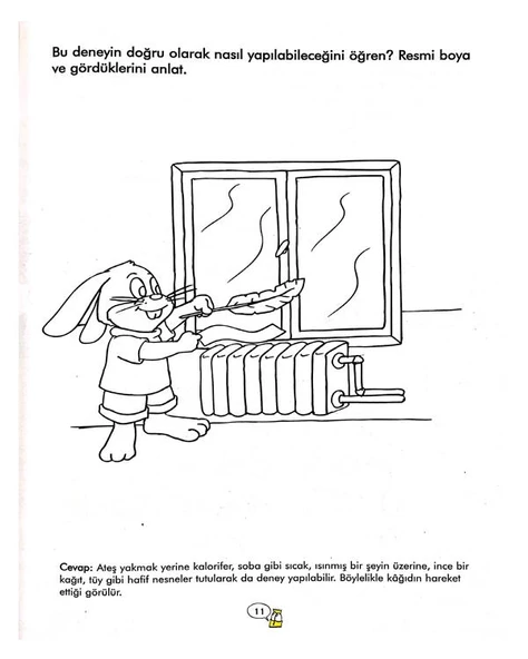 Renkli Kitaplar 4 Özel Gün ve Haftalar Angora Kitapları - Resim 2