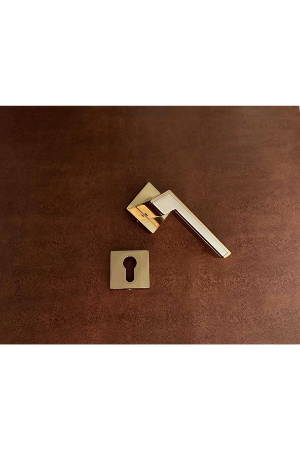 Albatros Volvo İnox Gold Kare Rozetli Yale Çelik Kapı Kolu 1 Takım - 2