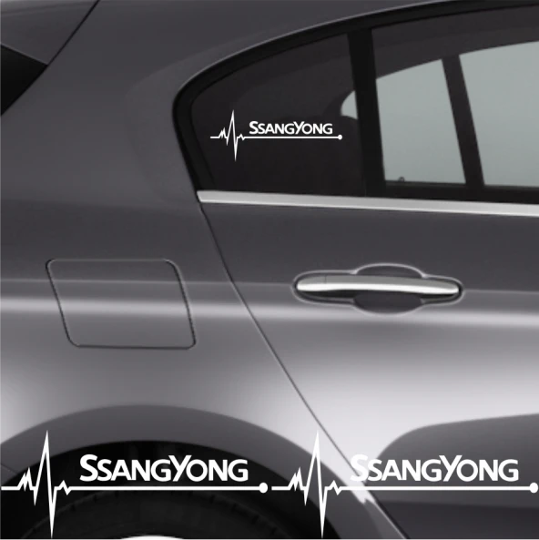 Ssangyong Korando İçin Uyumlu  Aksesuar Oto Ritim özel yeni sticker 2 Adet 20*9 Cm