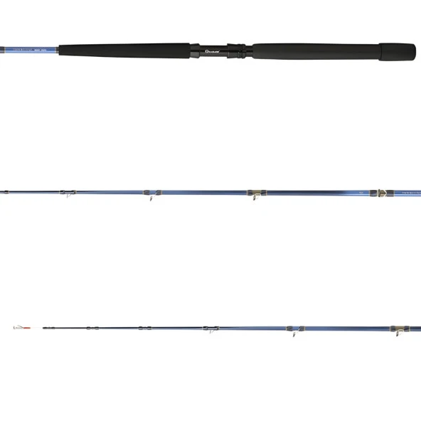 Daiwa Tanacom 200 cm 250-1000 gr Bot Kamış - Resim 2