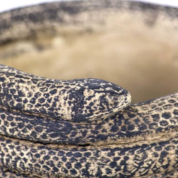 Euro Flora Yılan Figürlü Beton Saksı 9x10.5 Cm - 3