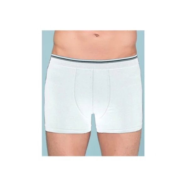 Berrak 1097 Pamuk Likralı Erkek Boxer Şort Paçalı Külot Don - 6