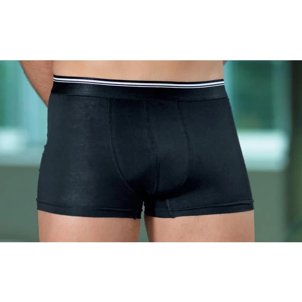 3 Adet Berrak 1097 Pamuk Likralı Erkek Boxer Şort Paçalı Külot Don - 3