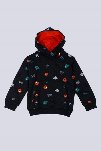 Erkek Bebek Kapşonlu Sweatshirt