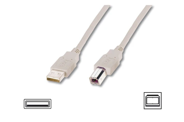 USB 2.0 Bağlantı Kablosu, USB A Erkek - USB B Erkek, 3 metre, AWG 28, UL, bej renk
