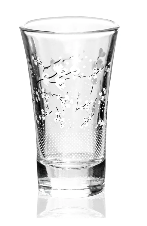 Kahve Yanı Su Bardağı 6'lı Beyoğlu Model Royaleks-SGM06323