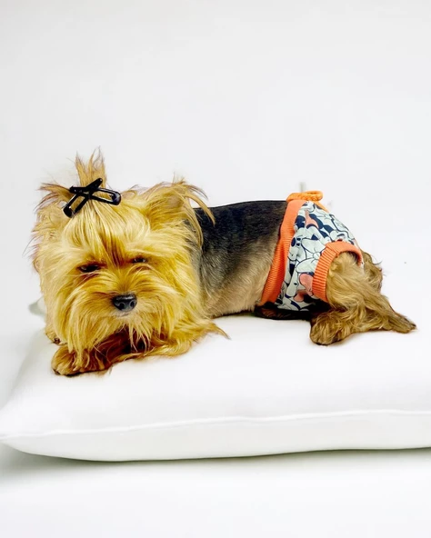 Cute Mickey Kemique's Secret Köpek İç Çamaşırı Regl Külot Don - 5