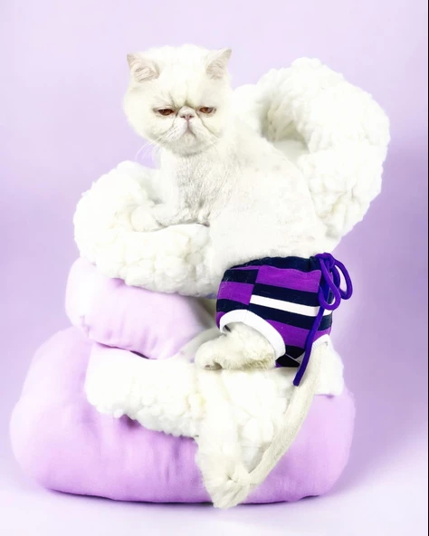 Modern Purp Kemique's Secret Kedi İç Çamaşırı  Regl Külot  Don - 4