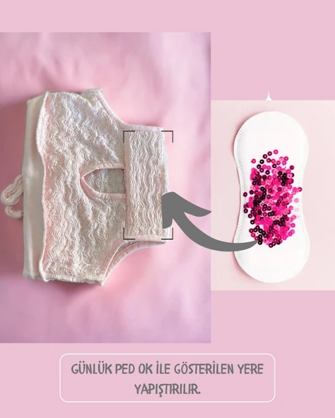 Modern Purp Kemique's Secret Kedi İç Çamaşırı  Regl Külot  Don - 7