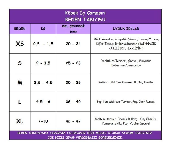 Modern Purp Kemique's Secret Köpek İç Çamaşırı Regl Külot Don - 3