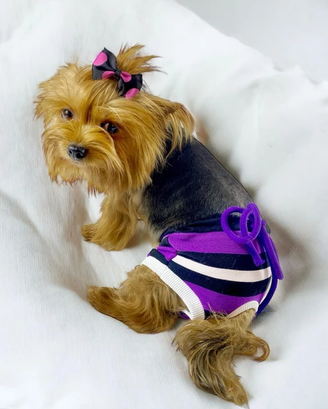 Modern Purp Kemique's Secret Köpek İç Çamaşırı Regl Külot Don - 4