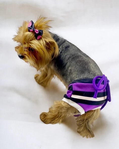 Modern Purp Kemique's Secret Köpek İç Çamaşırı Regl Külot Don - 7