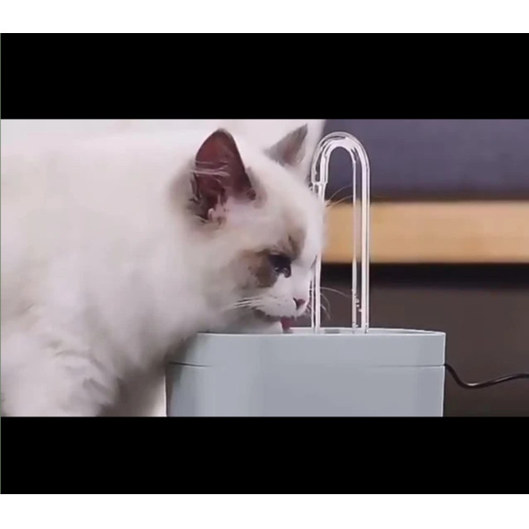 Kedi ve Köpek İçin Ultra Sessiz Su Pınarı, Su Çeşmesi, Su Sebili (1.5L) - 5
