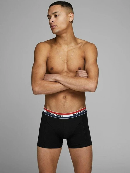 Jack Jones Waıstband 3 LÜ Paket Erkek Boxer 12171265 - 3