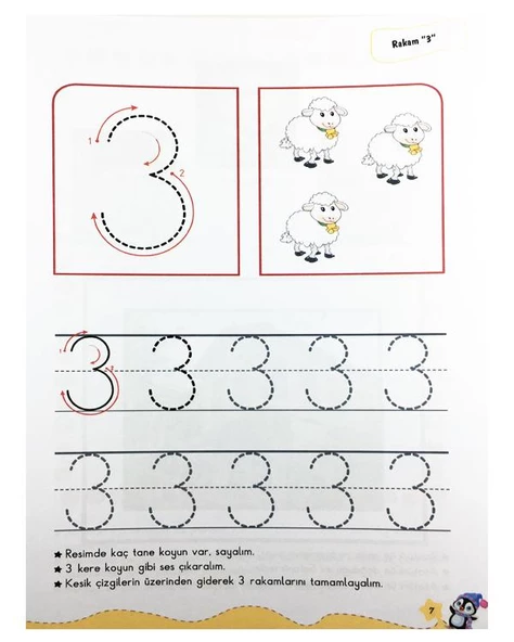 Benim Dünyam Eğitim Seti Kutulu Özel Set - 3
