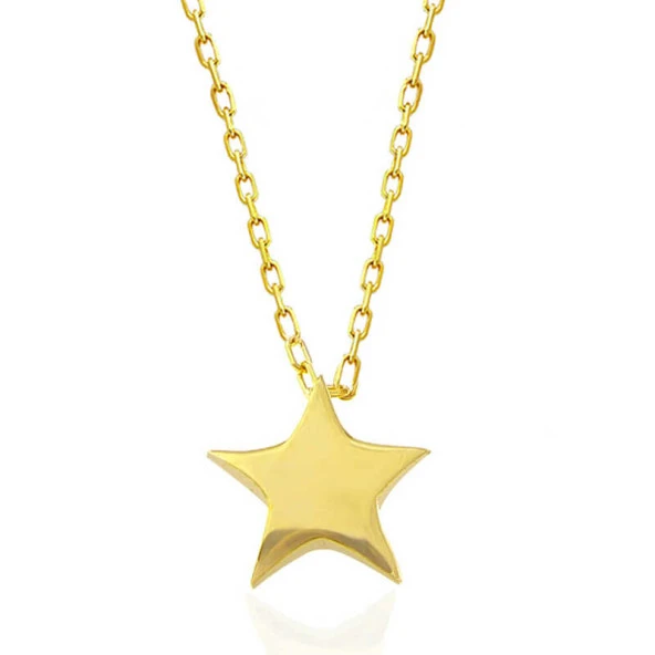 925 Ayar Gümüş Gold Yıldız Kadın Kolye - 3