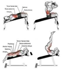 Proforce Emh 08 Eğimli Mekik Sehpası - 2