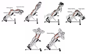 Proforce Emh12- 45 Derece Ters Mekik Sehpası- Kolay Montaj, Ayarlanabilir Yükseklik - 5