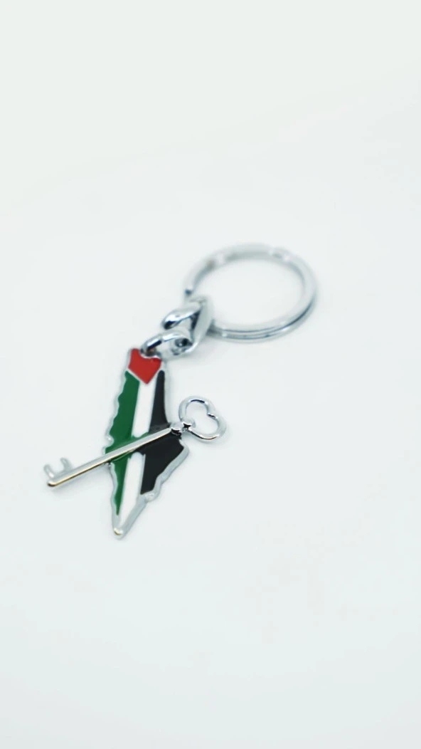 Filistin Renkli Haritasi Üzerinde anahtar anahtarlık Ünisex 1 Adet A300010