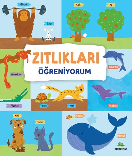 Zıtlıkları Öğreniyorum - Ciltli
