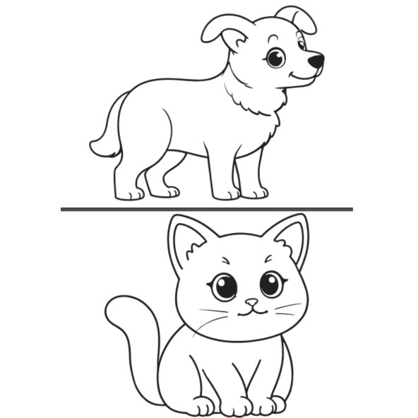 Çiftlik Hayvanları Boyama ve Çizme Seti - 2