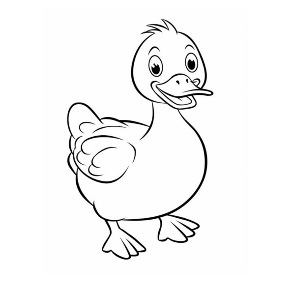 Çiftlik Hayvanları Boyama ve Çizme Seti - 5