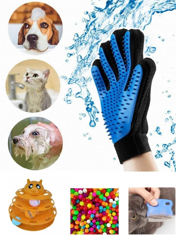 4 Lü Kedi Oyun Seti