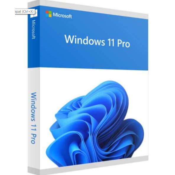 Windows 11 Pro Lisans Anahtarı KEY