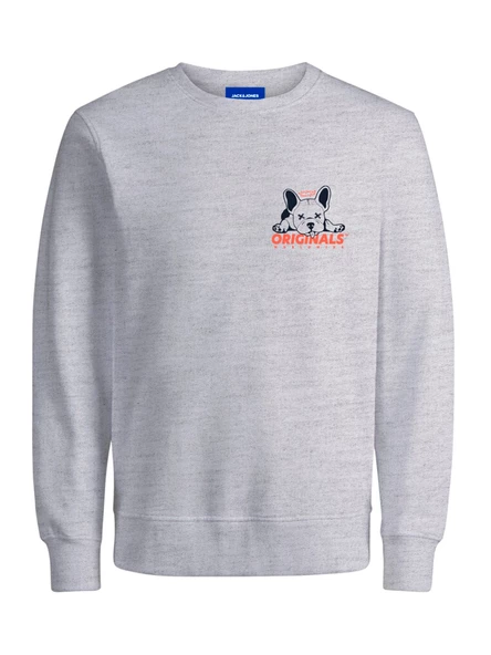 Jack&Jones Erkek Sweatshirt 12248906