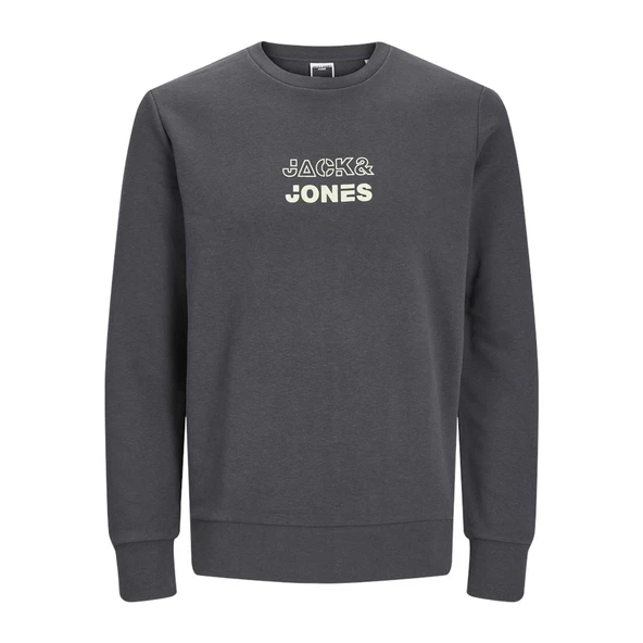 Jack&Jones Erkek Sweatshirt 12225139 - 9