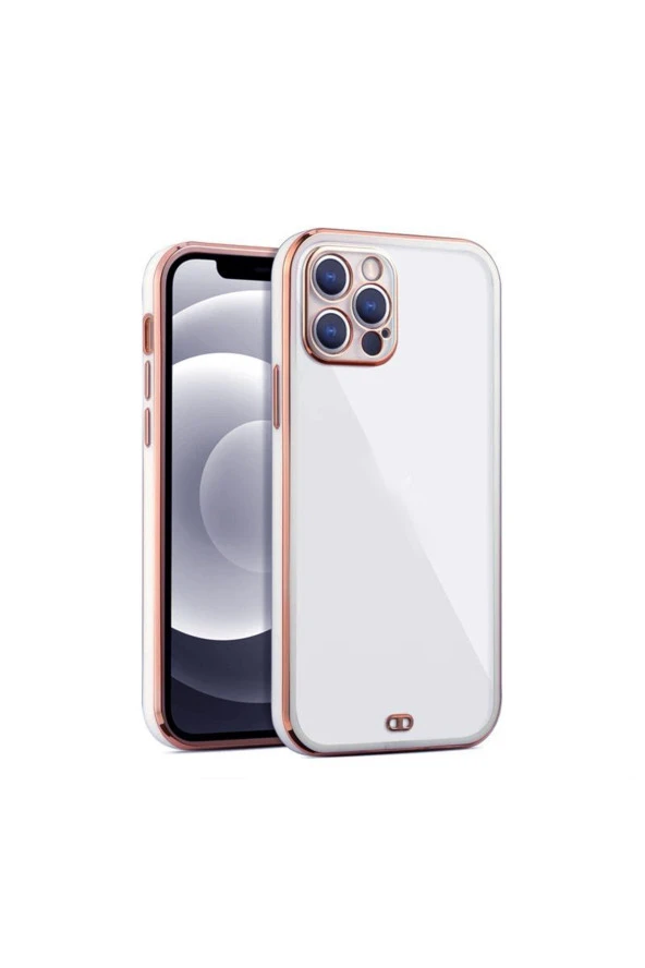 iPhone 13 Pro Uyumlu Arka kapak Kılıf Acık Mavi kenarlı rose ürün görseli 1