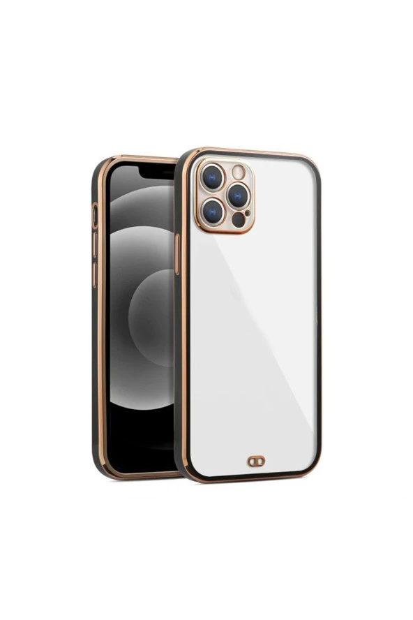 iPhone 13 Pro Arka kapak Kılıf Siyah kenarlı rose ürün görseli 1