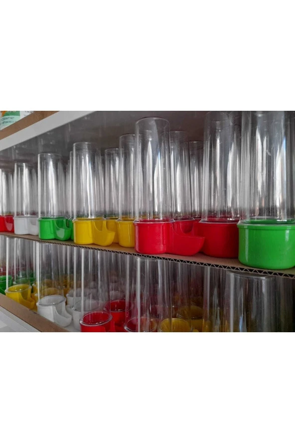 Muhabbet Kuşu Sulukları 5 Adet ürün görseli 1