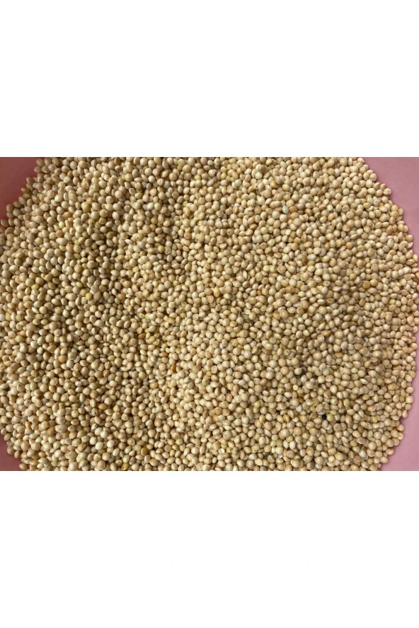 Lüks Taze Sade Muhabbet Kuşu Yemi 10 kg