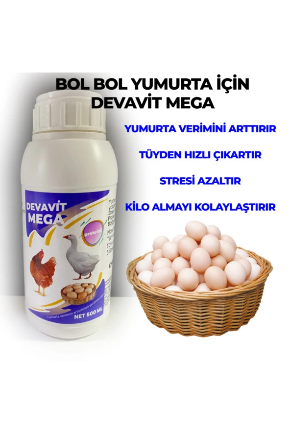 Tavuk Yumurta Verimi Arttırıcı Takviye