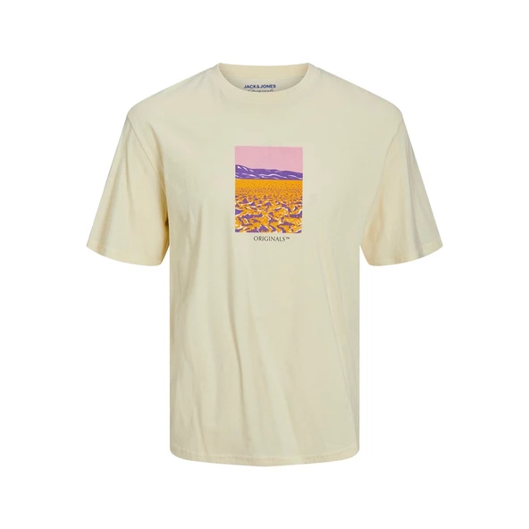 Jack&Jones Erkek T-Shirt 12230734 - 2