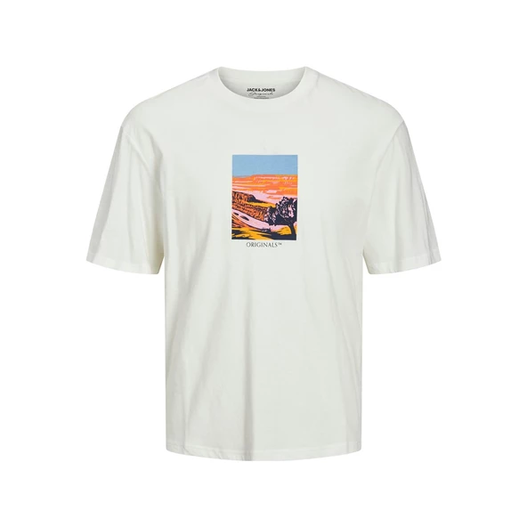 Jack&Jones Erkek T-Shirt 12230734 - 5