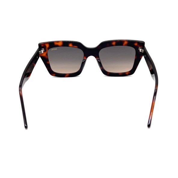 Rachel Paris RP8504 C4 Kadın Güneş Gözlüğü - Resim 6