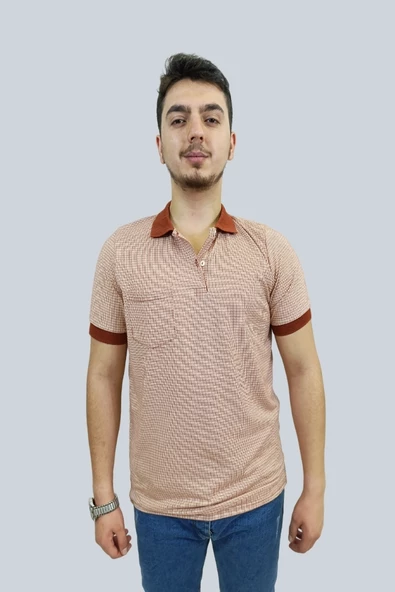 Erkek Striped Polo Yaka Kiremit Tişört