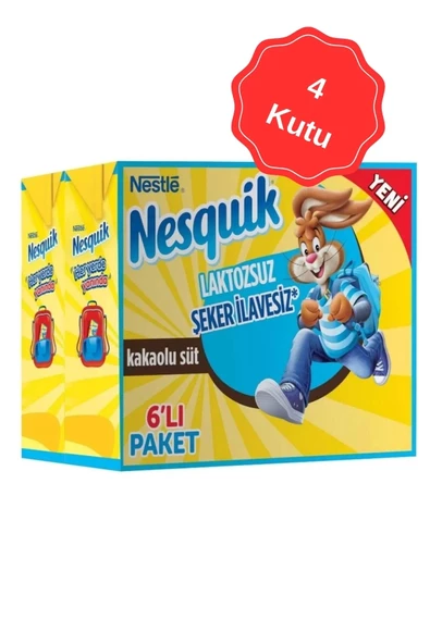 Nesquik Laktozsuz Kakaolu Süt 180 ml (6 Lı x 4 Kutu)