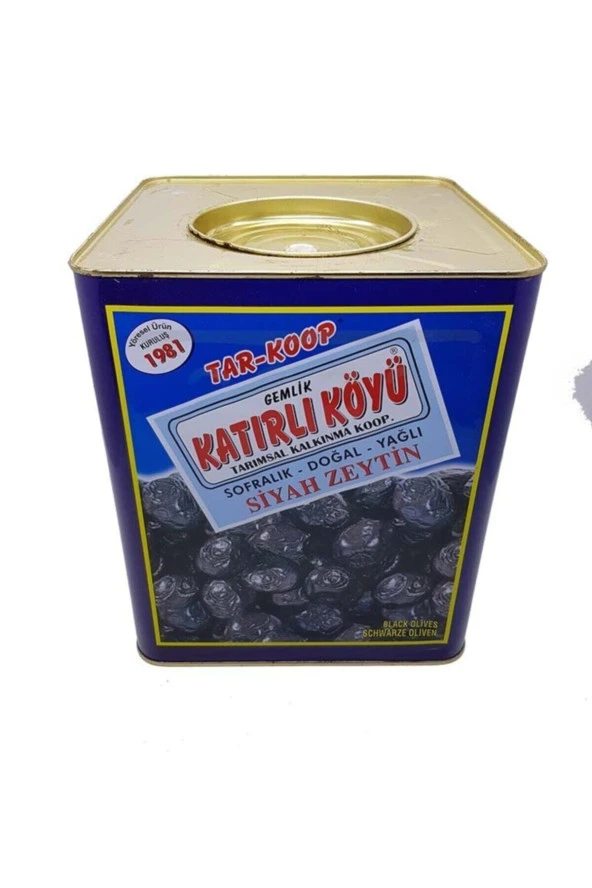 Katırlı Zeytin Gemlik Katırlı Köyü Siyah Zeytin 10 Kg Teneke - 2